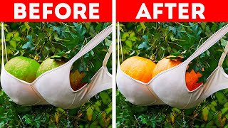Upgrade your garden using these genius tips || Gardening Hacks