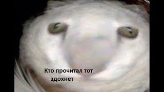 564 СЕКУНДЫ СМЕХА | ЗАСМЕЯЛСЯ - ПРОИГРАЛ | Try Not To Laugh Challenge |