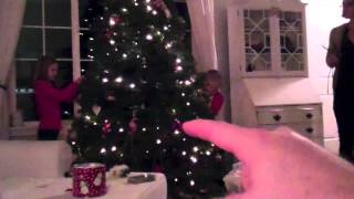 DECKING OUR HALLS!