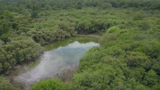 West Lake in the Fakahatchee Strand