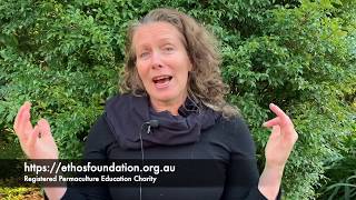 Permaculture sponsors needed - $100 gives a woman or young farmer a Permaculture Design Certificate
