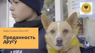 «Преданность другу» Пинск. Каждый может помочь