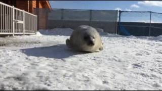 После новогодних праздников!