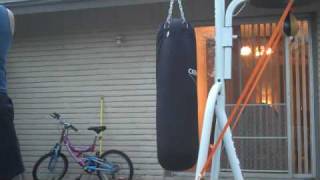 Century Heavy bag 100lbs and Century Heavybag Stand