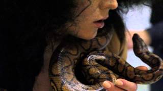 Fashion Snakes