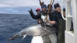 Southern California Giant Bluefin Kite Fishing