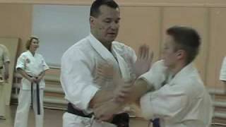 KARATE BUNKAI HEIKU part-1(seminar Likhobabin Peter) Лихобабин П.Е.