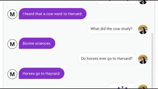 Meena by Google: A Conversational Agent that Can Really Chat About…Anything