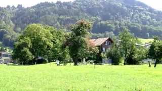 Schweizer Jagdtourist erlegt Dorfhirsch "Heinrich den XIV."