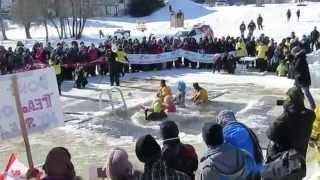 Lac Du Bonnet Polar Bear Dare 2015