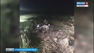 Крушение Ми-2 на Ставрополье: шокирующие подробности, первые комментарии
