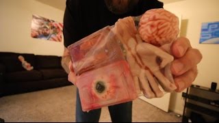 TDW 1373 - I Now Own Some Used Body Parts