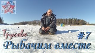 Зимняя рыбалка в Трусово. Истринское водохранилище. Погладить кошку на удачу.
