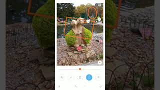 Новые возможности галереи в MIUI 9