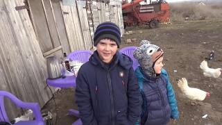 Николаевские голуби. Бонщук Юрий Григорьевич. Юные голубеводы.