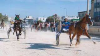Dandu Stables