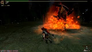 【MHF G】　無編集ソロ　見た目装備のガチ動画　第５弾　Ｇ級イャンクック　火事場双剣にて♪