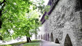 Day Cruise Helsinki-Tallinn-Helsinki by Viking XPRS