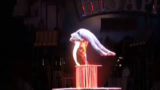 Zolboo violin contortion