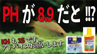 【詳しい方お助けください】ゼオライト砂利で立ち上げた水槽のPHとKHが原因不明の高過ぎでPH沼にハマっております【アクアリウム】