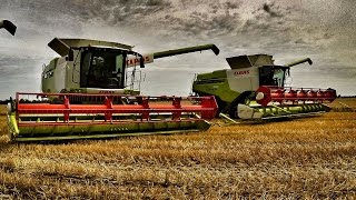 Pokazy żniwne Claas 2016  Lehmann Agrotechnika