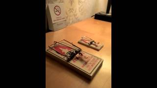 Rat trap finger break