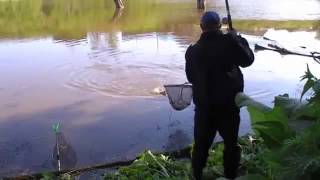 Рыбалка на карася Полный садок к