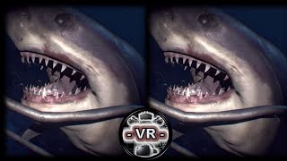 ? VR VIDEOS 3D SBS Underwater for VR BOX 3D not 360 VR