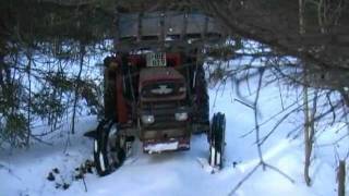Stuck in the woods