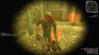 STALCRAFT "Облава на хату" "Бегом за Наваром"