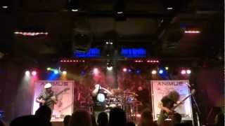 ANIMUS COMPLEX - Survive (Live @ Joe's Grotto)