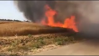 Почему безнаказанно поджигают Израиль?