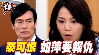 《多情大爆爆》多情城市 EP203 泰可恨 如萍要報仇