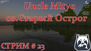 Russian fishing 4 : На что клюёт сегодня? Общение с чатиком!