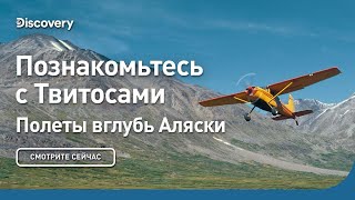 Познакомьтесь с Твитосами | Полеты вглубь Аляски | Discovery