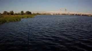 Щука на крэнк GAN CRAFT Bacra SR.Pike Fishing
