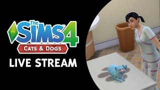 The Sims 4 Cats & Dogs: Vet Clinic Live Stream (October 26th, 2017)