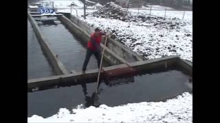 Pastrmski ribnjak Savaca, Bor by Joca