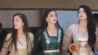 Şemdinli Düğünleri l Selvi Ailesinin Mutlu Günü l  Tarık & Semra Wedding 1. Bölüm