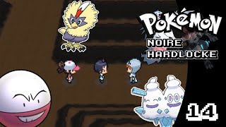 Direction Flocombe ! Pokémon Noire Hardlocke Random #14