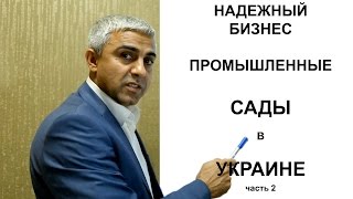 Надежный бизнес. Промышленные сады в Украине. Часть 2