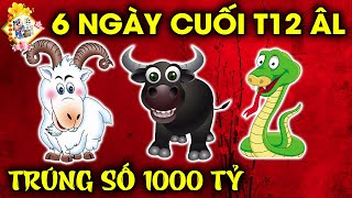 6 NGÀY CUỐI THÁNG 12 ÂM LỊCH TOP 3 CON GIÁP BẤT NGỜ GẶP THỜI ĐỔI VẬN, TIỀN NHIỀU CHẤT NHƯ NÚI.