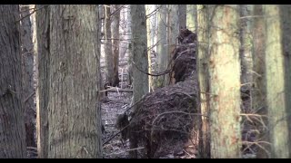 Sasquatch Blue Hole / Show Off Your Stuff / NJ / 2.8.20