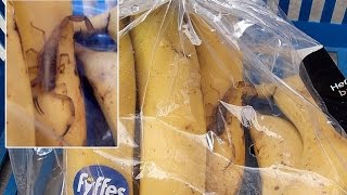 ШОК! Покупая бананы, мужчину укусил скорпион! (Барановичи)