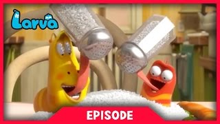 LARVA - EAT LESS SALT | 2017 Cartoon Movie | Cartoons For Children | LARVA Official