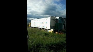 Пчелопавильон (Презентация)