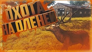 ? ОЛЕНЬ | Баги СВД | ?? #1✔Запад✔ RADMIR RP #4?