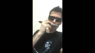 Дмитрий Венчиков (губная гармошка для сна)