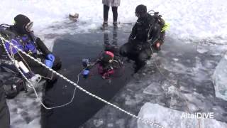Teletskoe ICE DIVING Подлёдное погружение. Автор - Павел Збарах