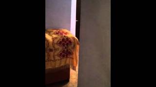 Невероятное видео!!!! Шахназар  подглядывание